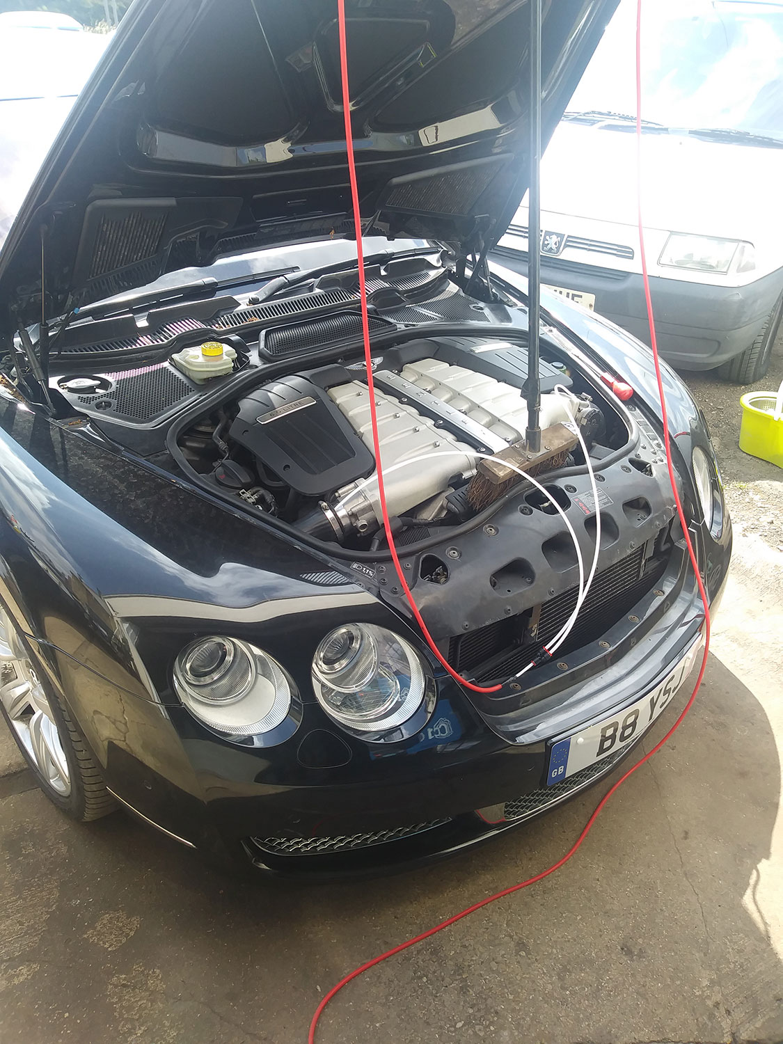 carbon and dpf cleaning